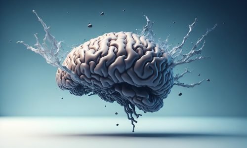 Os segredos do cérebro humano