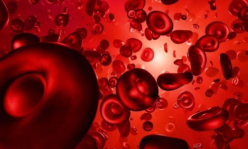 Por que o sangue é vermelho?